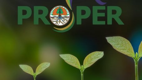 Mengulik Cara Menaikkan Tingkat PROPER Perusahaan Secara Efektif