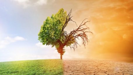 Indonesia siapkan Second NDC untuk Perkuat Komitmen Atasi Dampak Perubahan Iklim