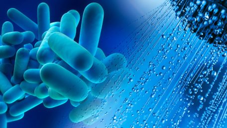 Mengenal Legionella pada Sampel Air