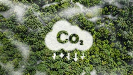 Dagang Karbon, Cara Mudah Untuk Tekan Perubahan Iklim