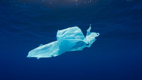 Sejarah Hari Bebas Kantong Plastik Sedunia