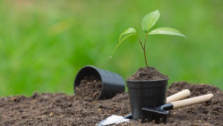 Rangkaian Kegiatan Penanaman Pohon Serentak di Mangrove Education Center